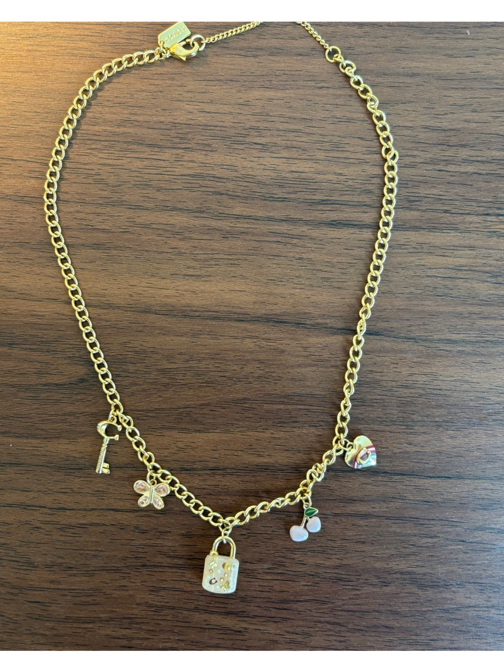 Coach Gold Charm Necklace